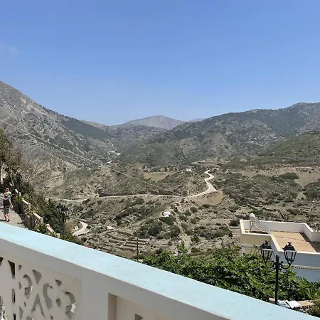 The Olive Tree Όλυμπος